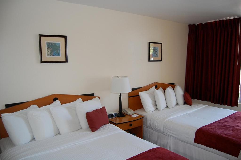 Alcazar Resort- Gay Mens Resort Fort Lauderdale Quarto foto
